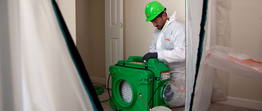 San Bernadino, CA mold cleanup