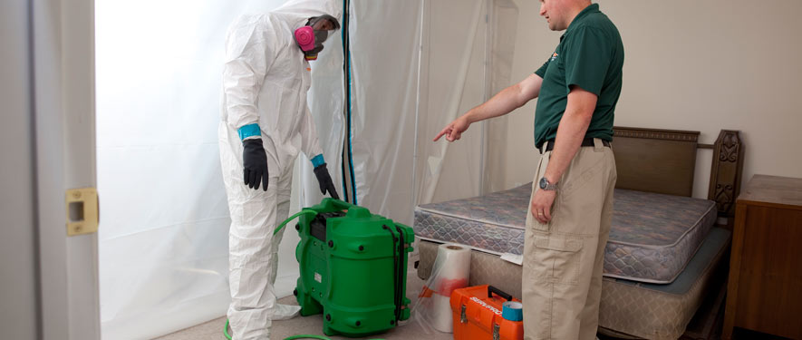 San Bernadino, CA mold removal process